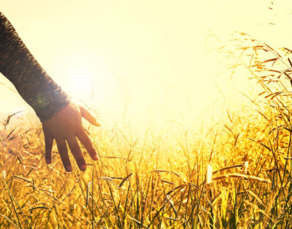 Walking with Jesus Daydreaming (Unaware)