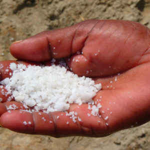 Salt of the Earth – 35th Anniversary Salt of the Earth – 35th Anniversary