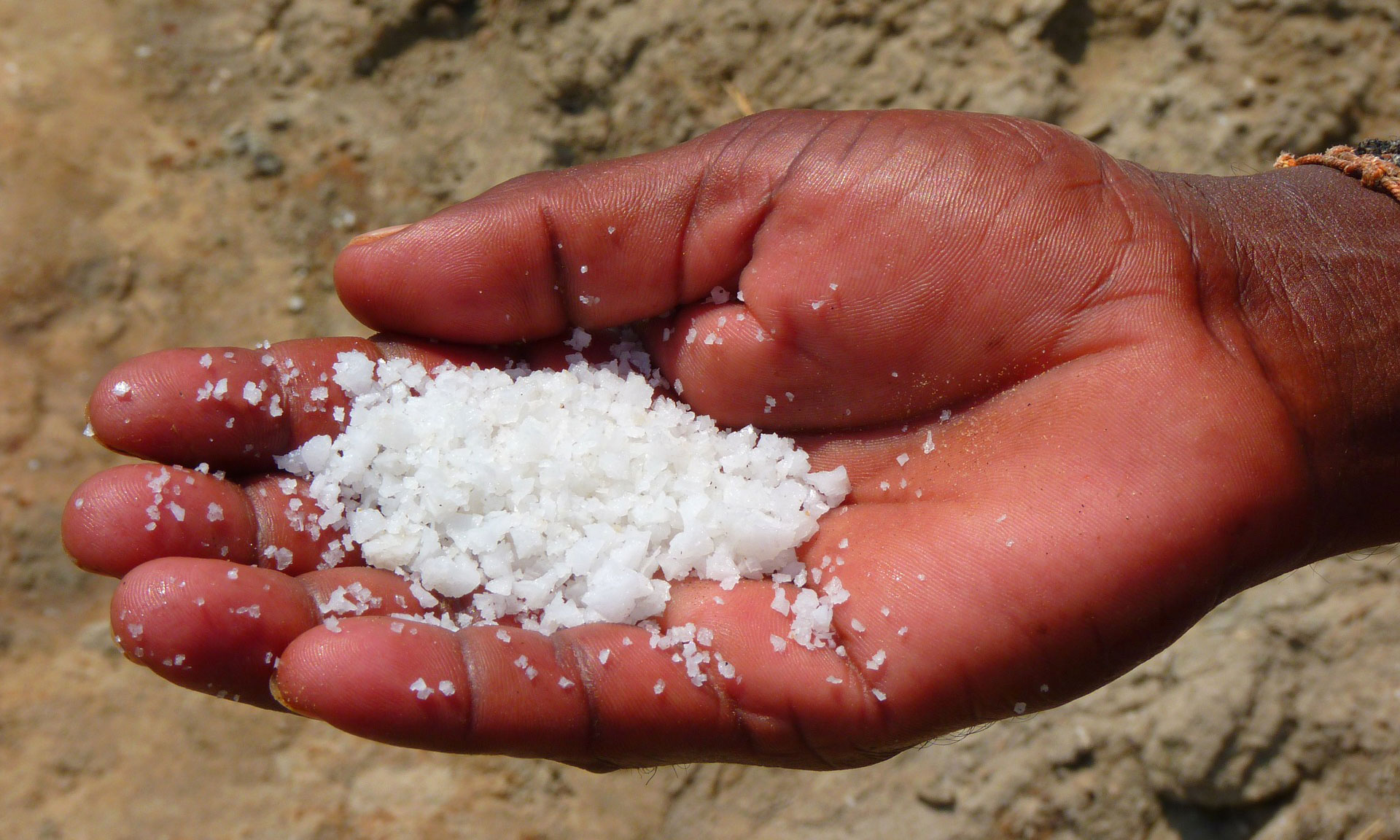 Salt of the Earth 35th Anniversary West Park Baptist Church