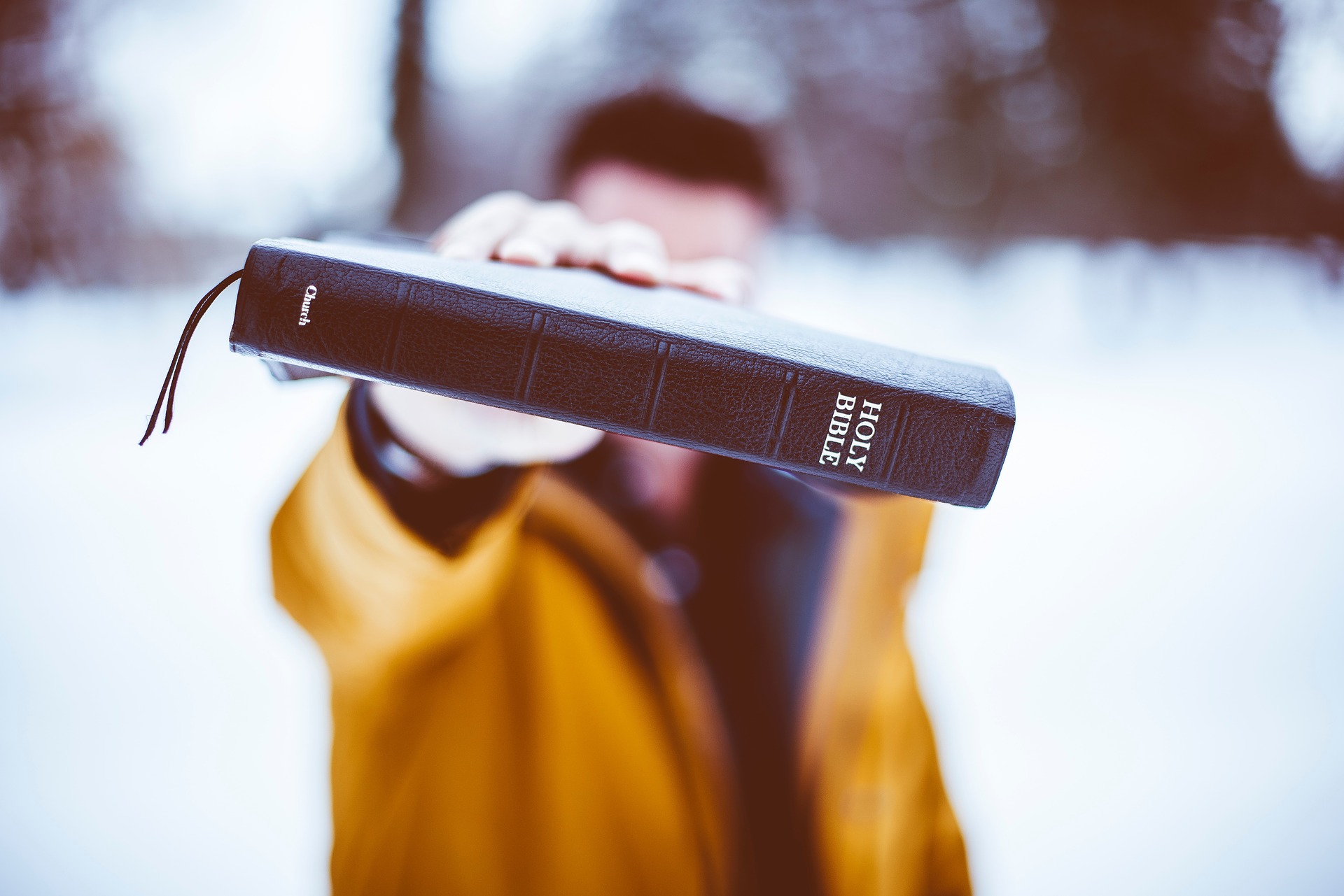 The Knowledge of the Son of God