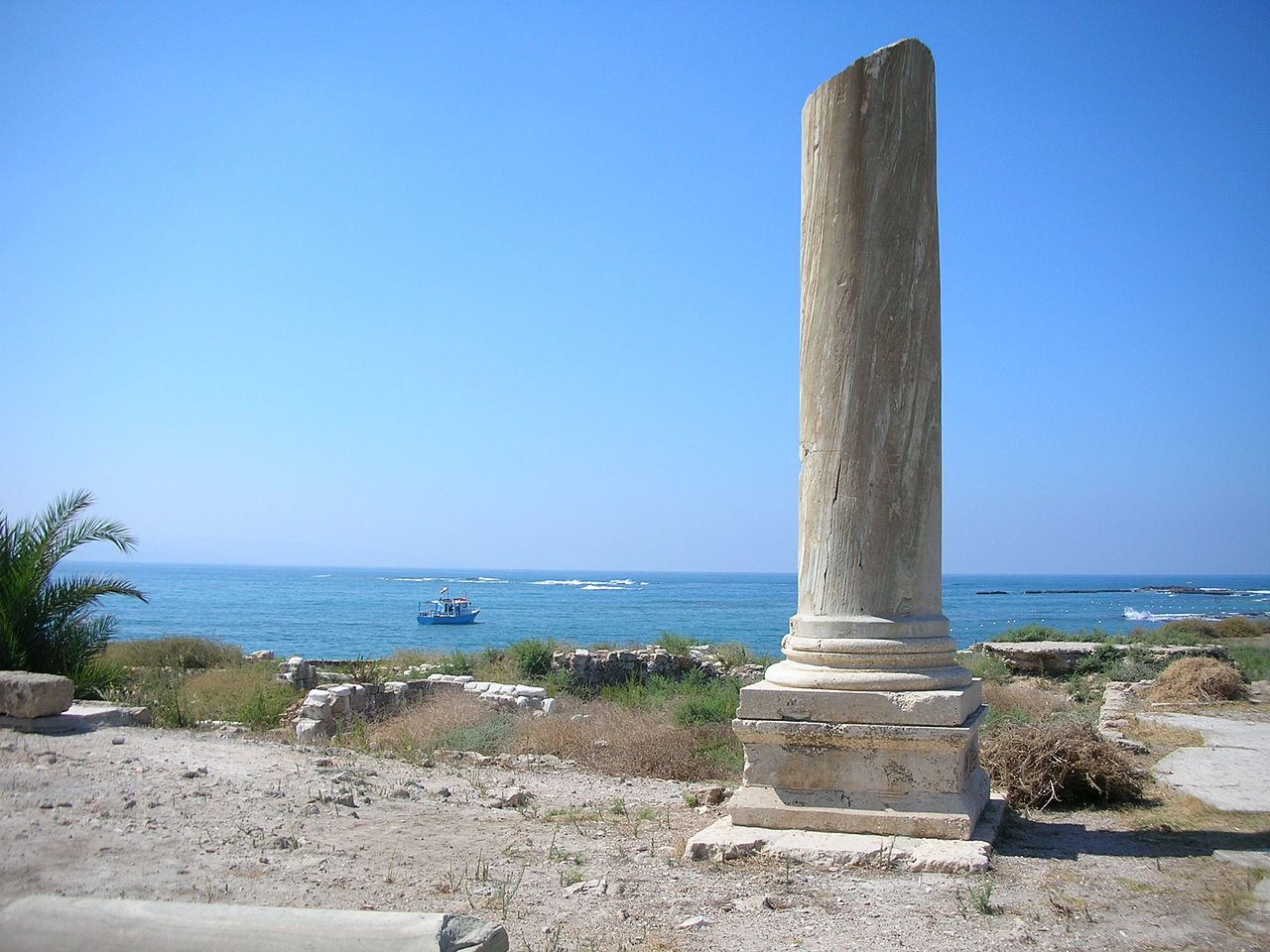 Tyre Would Have Repented