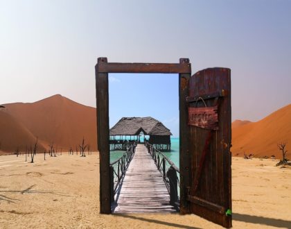 The Desert and the Oasis
