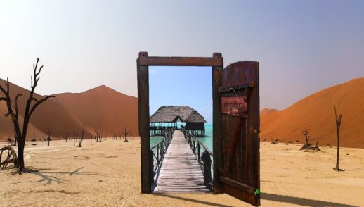 The Desert and the Oasis