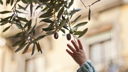 The Branch of the Lord