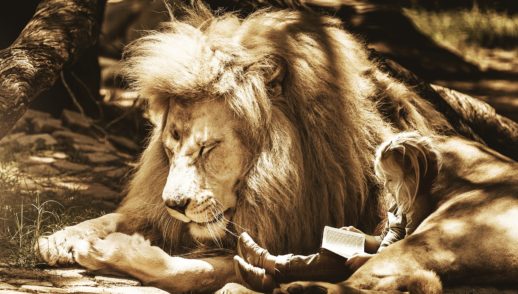 The Whole Earth Is At Rest