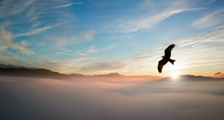 Rise Up as Eagles