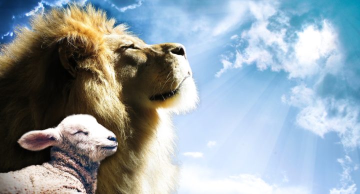 Handel's Messiah Lion and Lamb