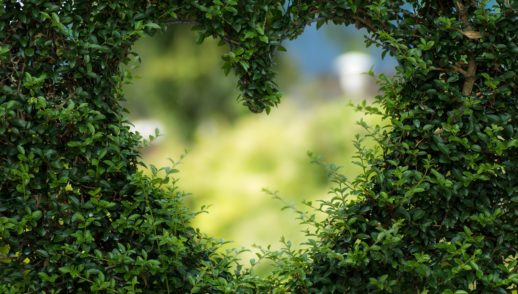 Love is of God