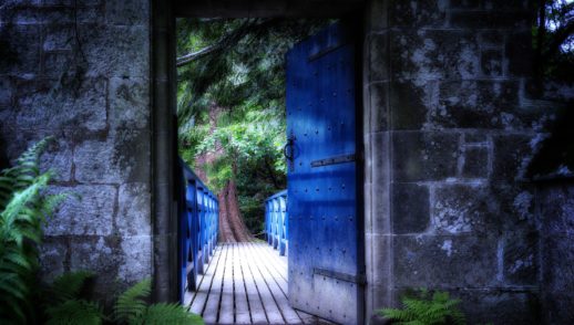 A Great Door