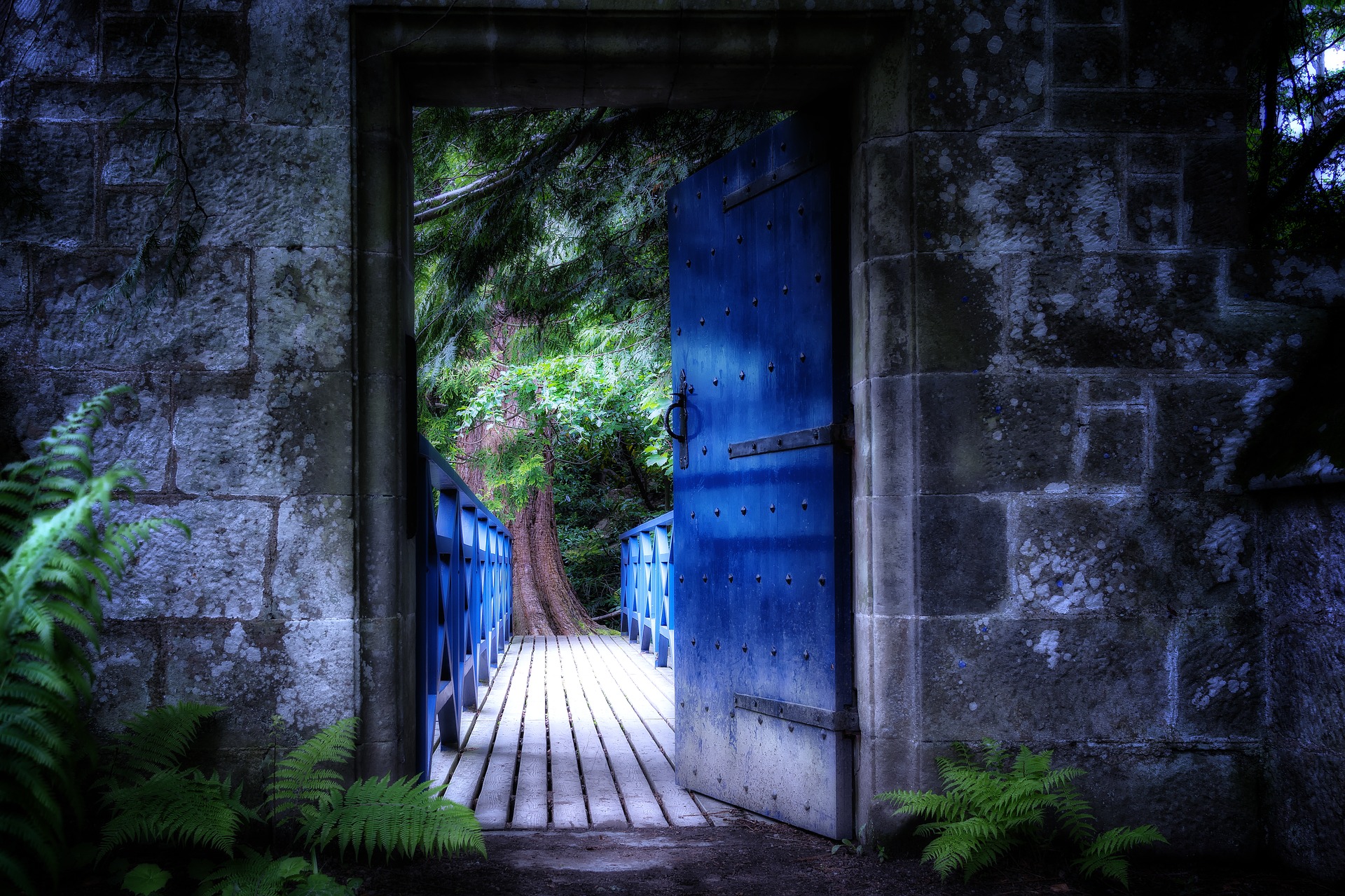 A Great Door