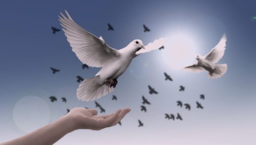 Principles for Peace