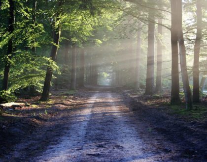 The Road to Faithfulness