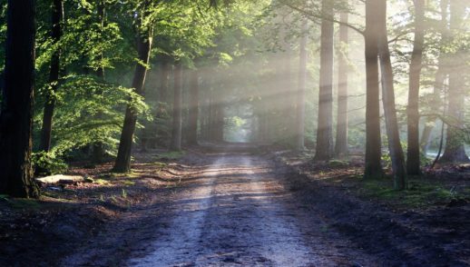 The Road to Faithfulness
