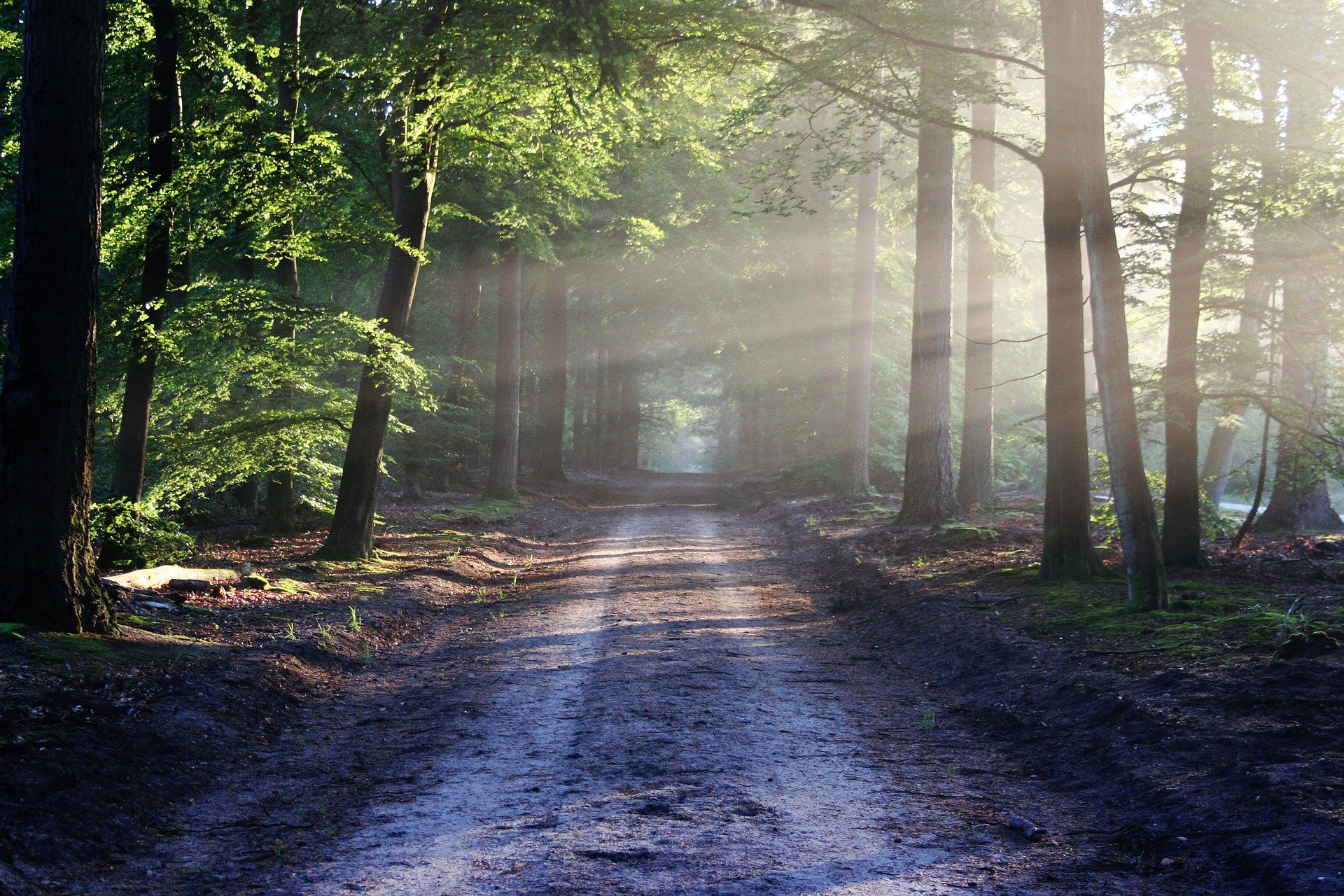 The Road to Faithfulness