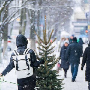 Most Wonderful Time of the Year