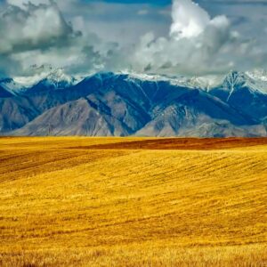 Never Alone: God&rsquo;s Constant Presence