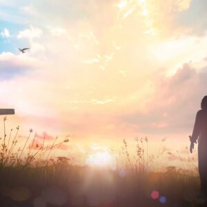 Understanding the Convicted Heart Understanding the Convicted Heart